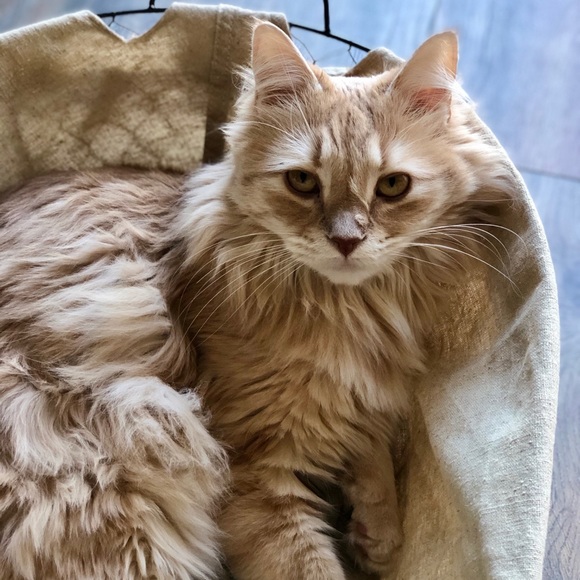 Hi I'm Nikki... Nice to meet you!😊 - Picture 8 of 8